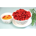 Dark Red Goji Berry-alta qualidade oval goji berry